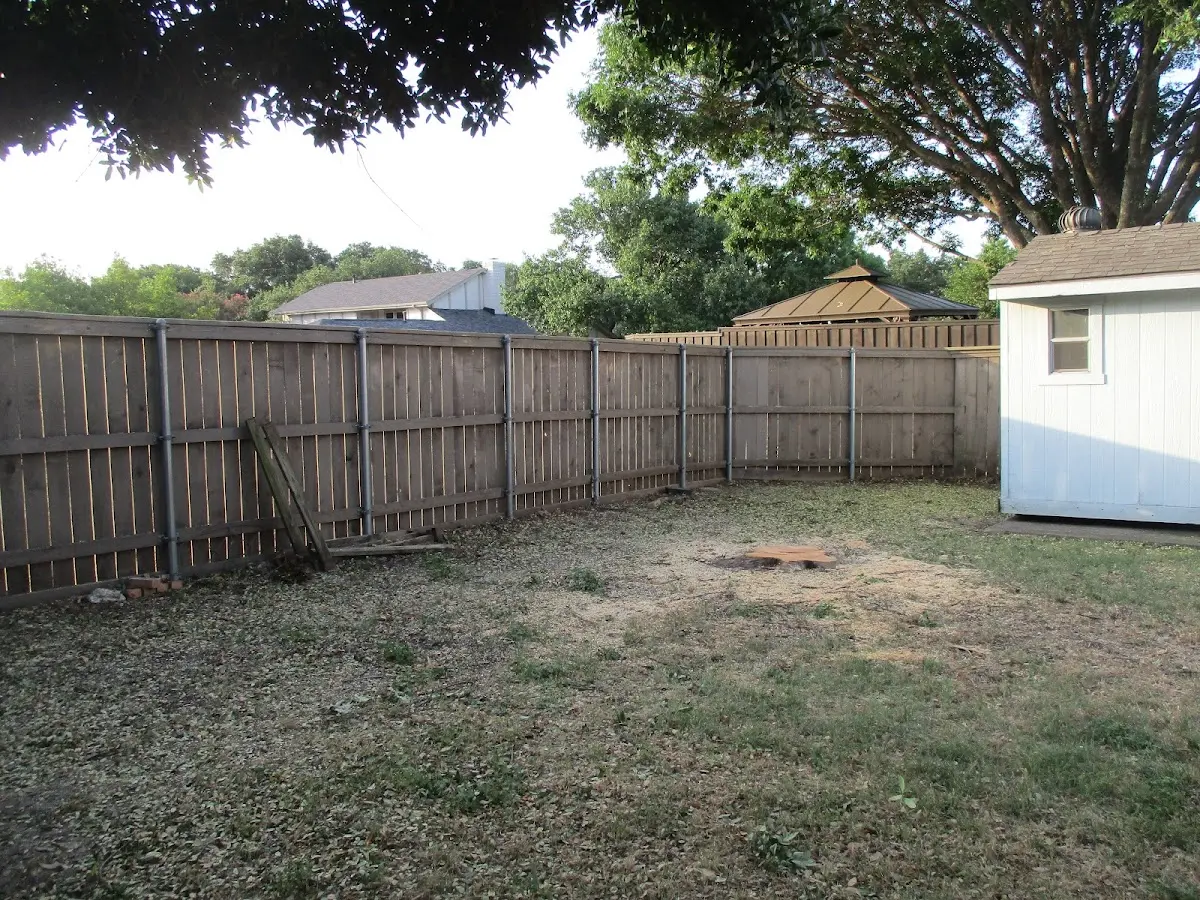 Cleared yard after professional tree removal in Bellefontaine